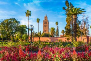 View,Of,Koutoubia,Mosque,And,Gardem,In,Marrakesh,,Morocco - Rejs365