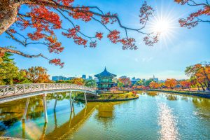 Seoul tilbud - Rejs365